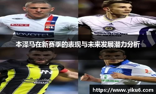 智博19有限公司